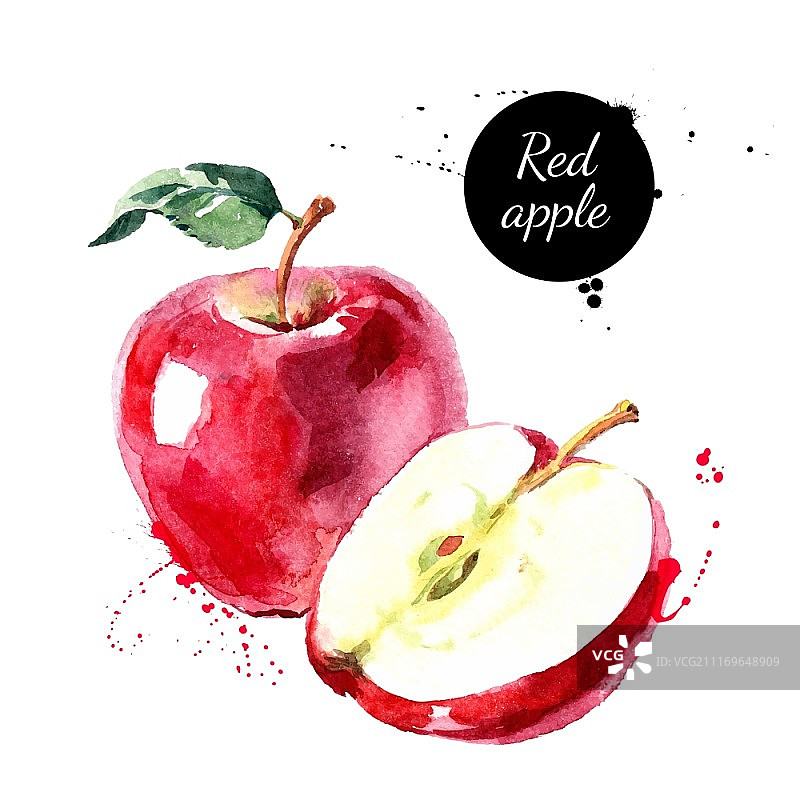水彩手绘红苹果。孤立的生态天然食品水果载体插图在白色的背景图片素材