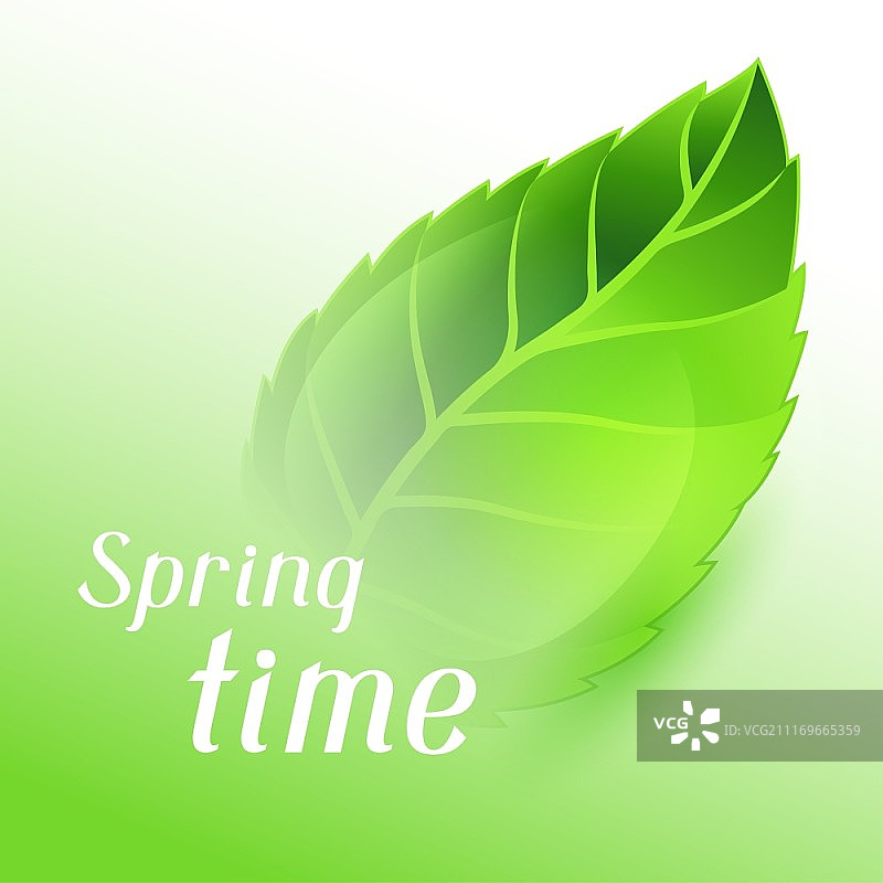 春天的插图与绿色清楚的叶子。卡片模板或生态花卉概念设计用于包装、贺卡和广告。图片素材