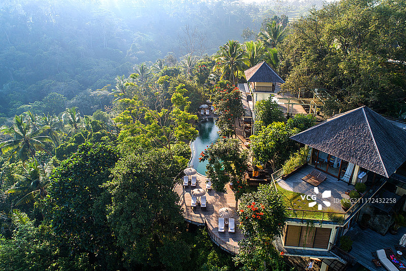 巴厘岛 乌布 热带丛林里的酒店别墅图片素材