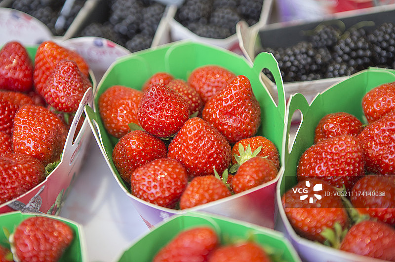 莓果,草莓,黑莓图片素材