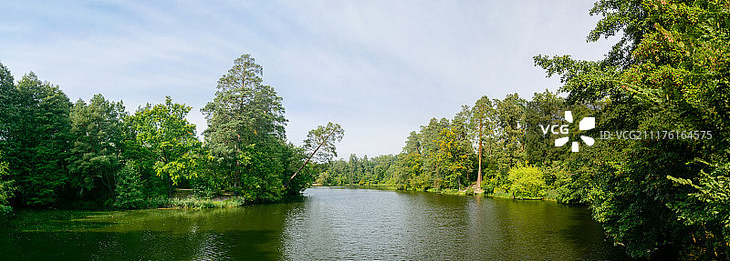 森林中的湖泊清澈平静的水和大树图片素材