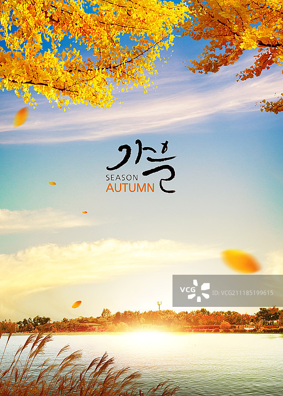 秋天，背景，风景，季节，彩色的叶子图片素材