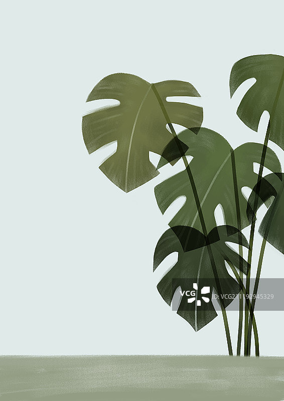 叶子植物背景图片素材