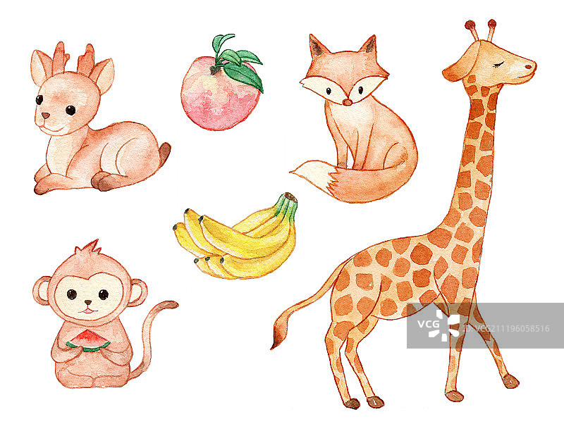 水彩手绘小动物 猴子长颈鹿图片素材