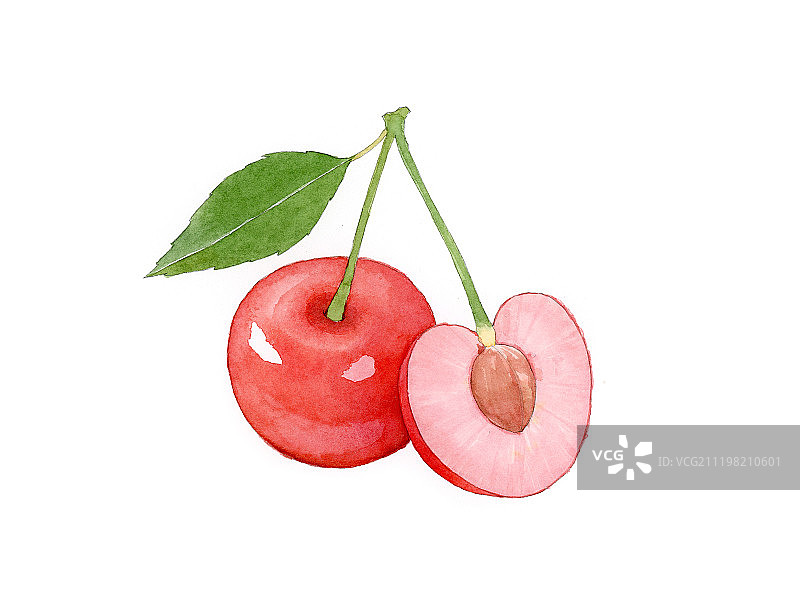 看见水果系列插画樱桃图片素材