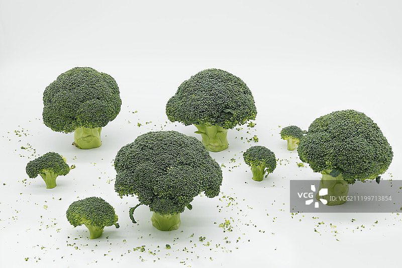 果蔬菜花与树林环境概念图片素材