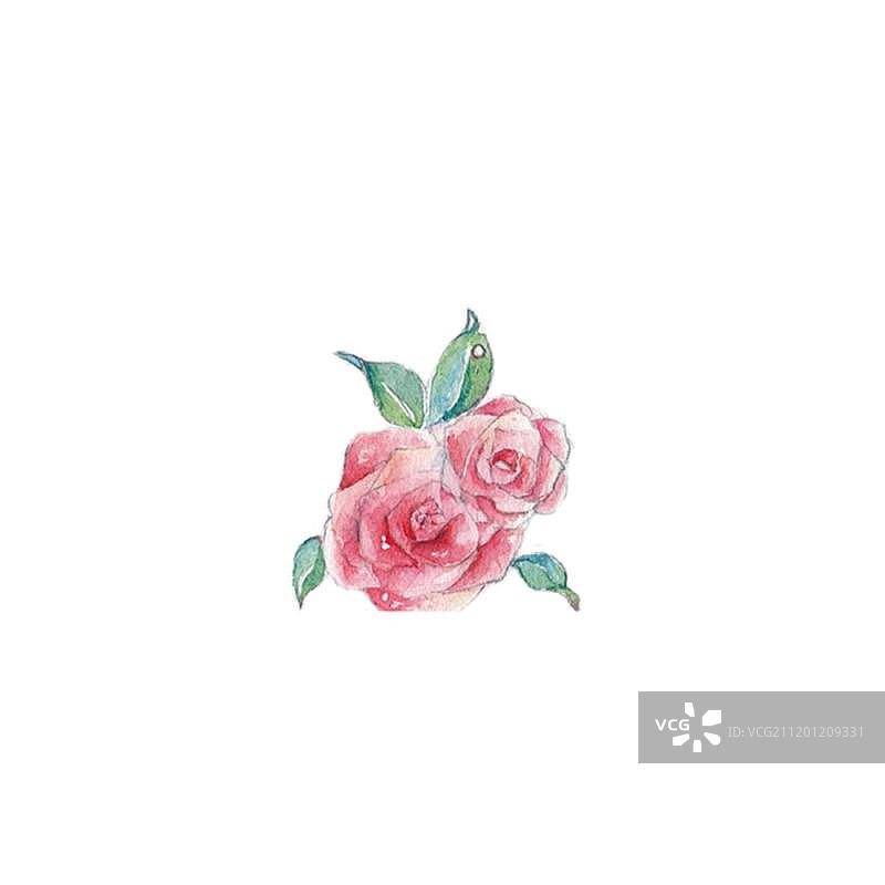 水彩手绘的复古玫瑰花图片素材