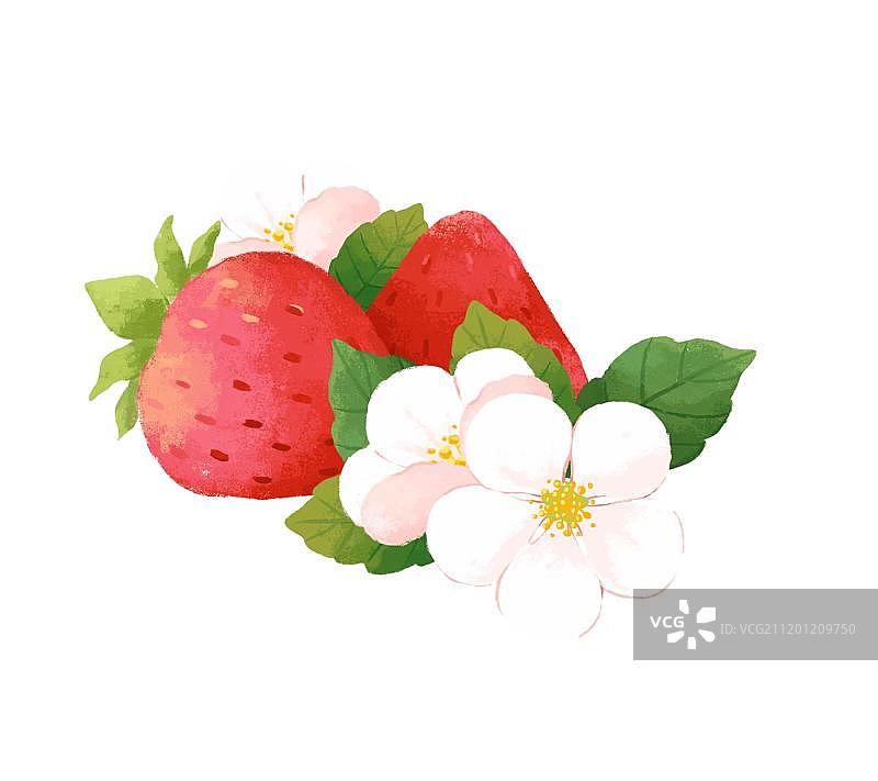 草莓和花图片素材