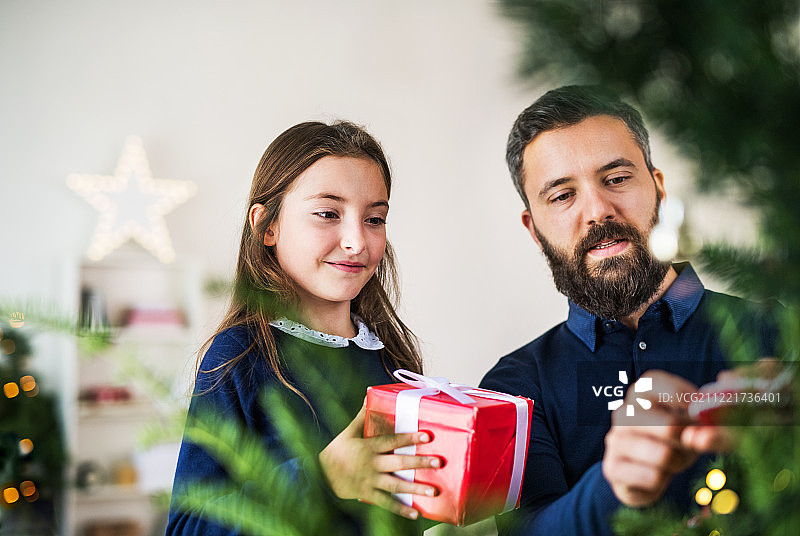 小女孩拿着礼物和父亲站在圣诞树旁。图片素材