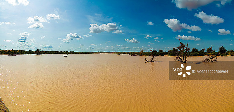 萨赫勒和多贡塔基绿洲的全景景观与洪水，多贡都奇，尼日尔图片素材