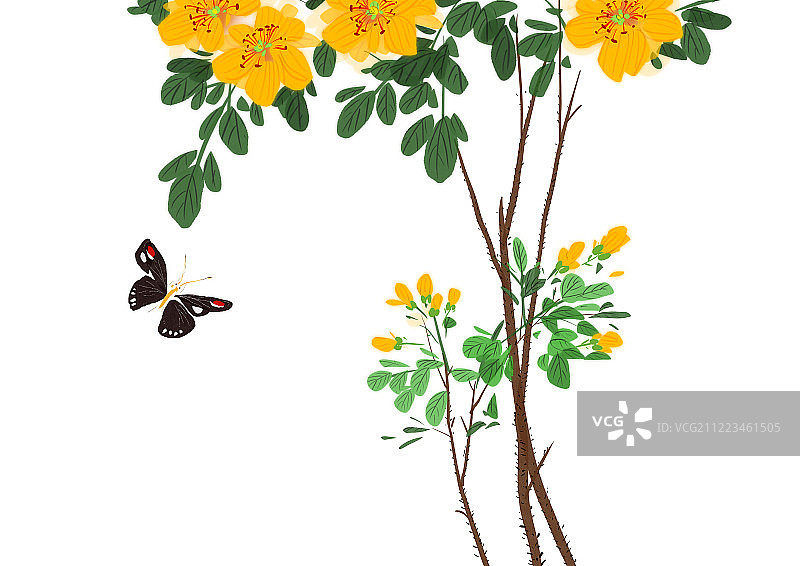 中国传统水墨花卉插画图片素材