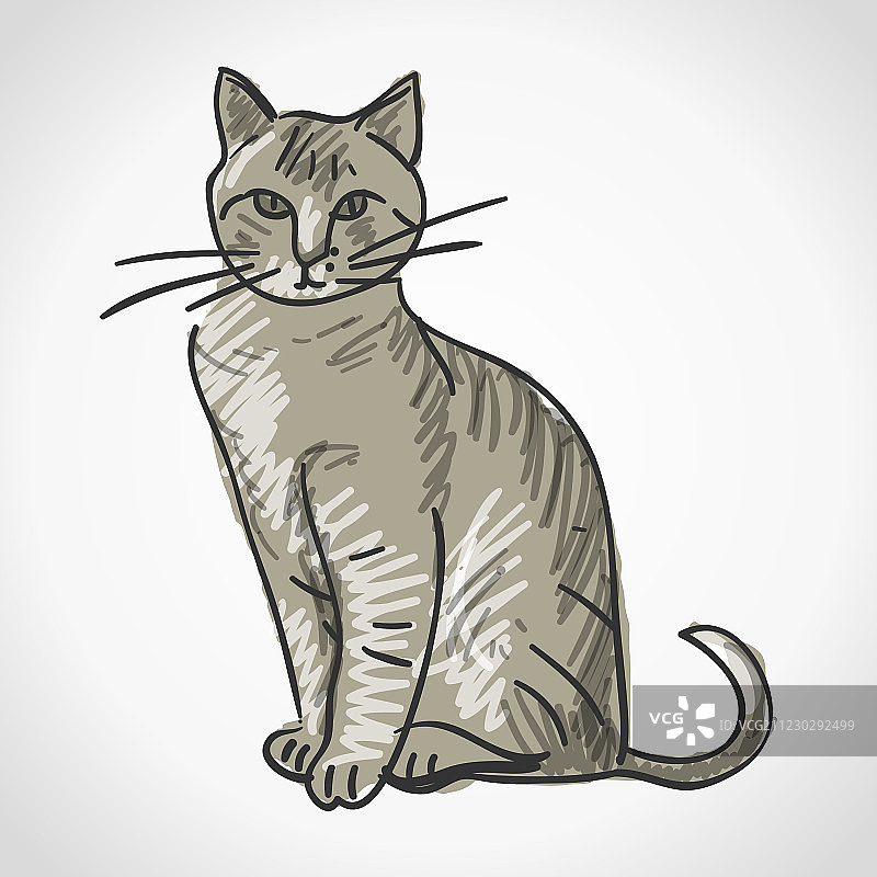 猫插图图片素材
