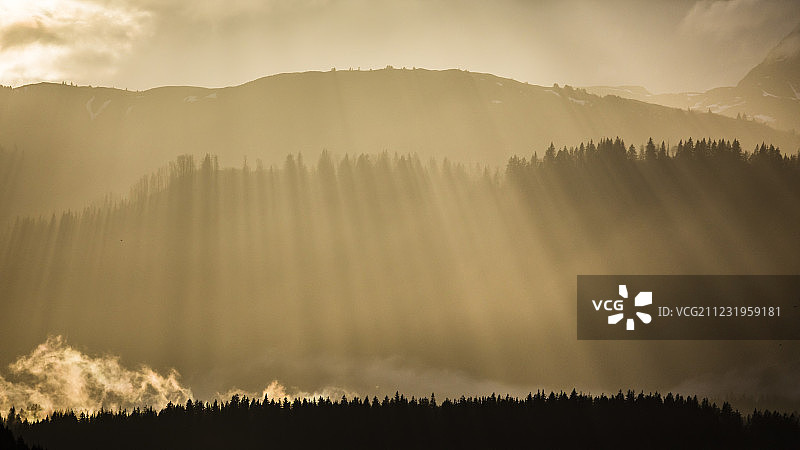 风景优美，阳光照耀下的剪影森林在日落inâ冰川湾国家公园，阿拉斯加，美国图片素材