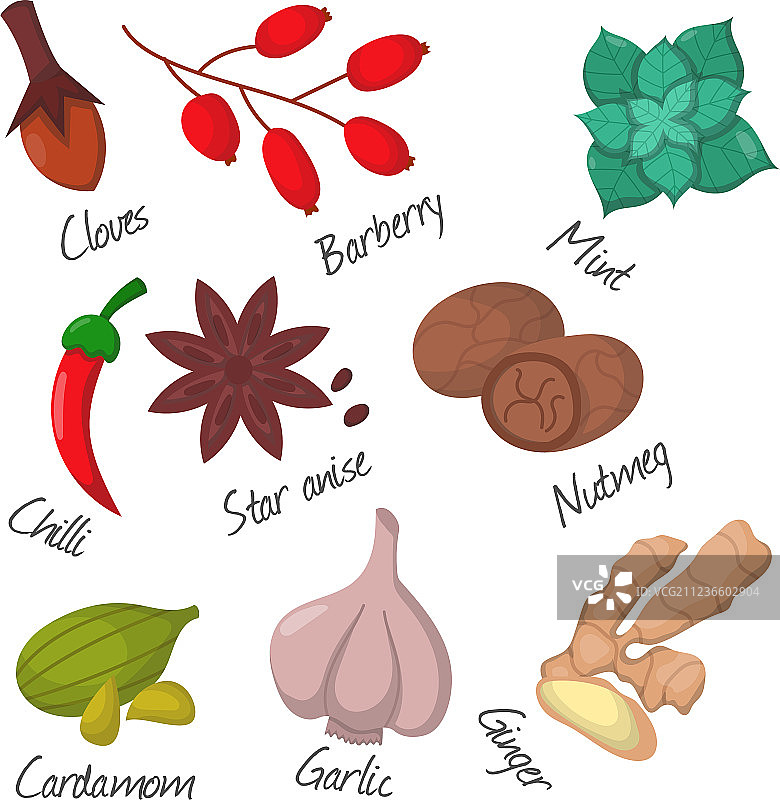 香料、调味品和调味食品香草图片素材