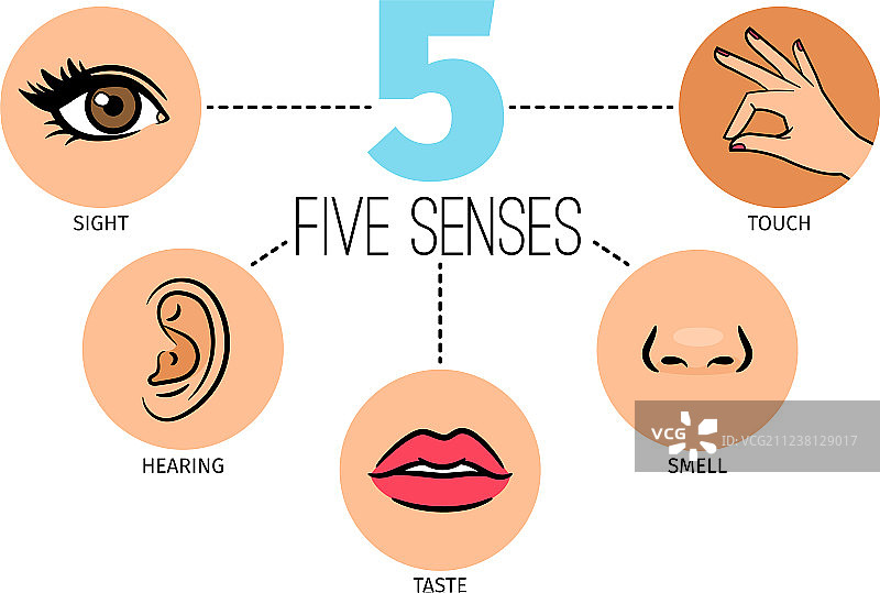 人的五种感觉嘴或嘴唇手和鼻子图片素材