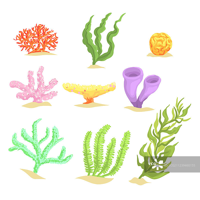 一套卡通水下植物，海藻和图片素材