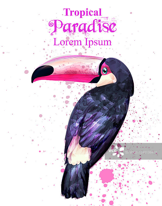 热带天堂鹦鹉鸟水彩画图片素材