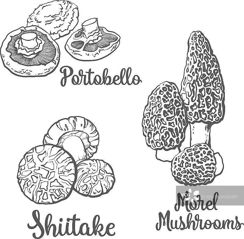 套羊肚菌和香菇可食用图片素材
