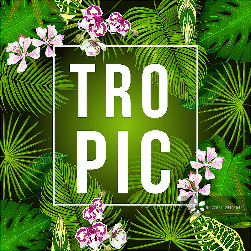 热带棕榈树和花卉的暑期海报图片素材