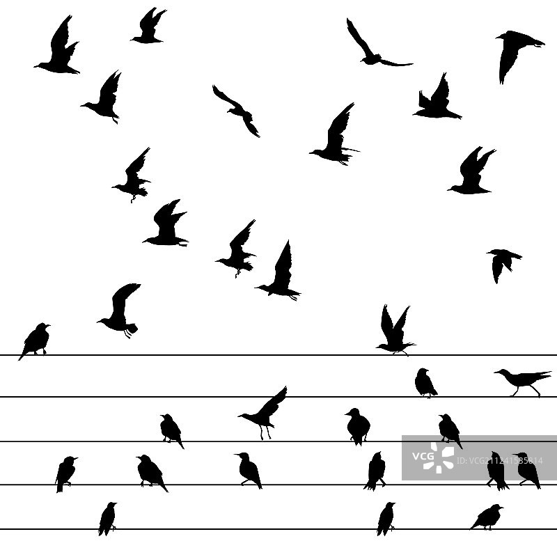 一群鸟坐在电线上飞翔图片素材