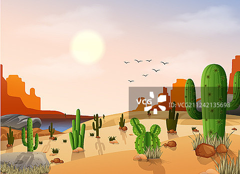 沙漠景观与仙人掌图片素材