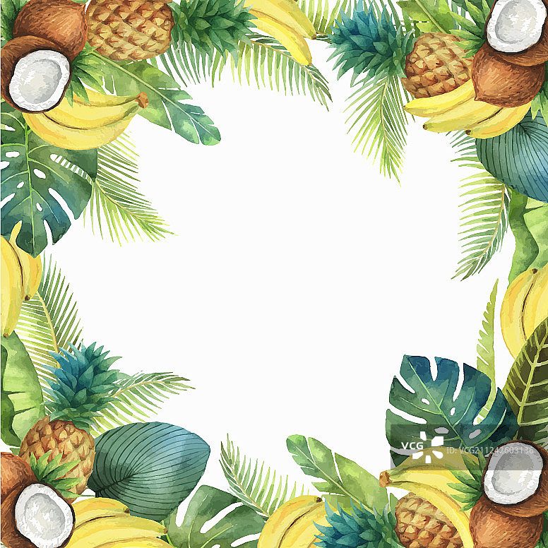 水彩热带水果和棕榈卡片图片素材