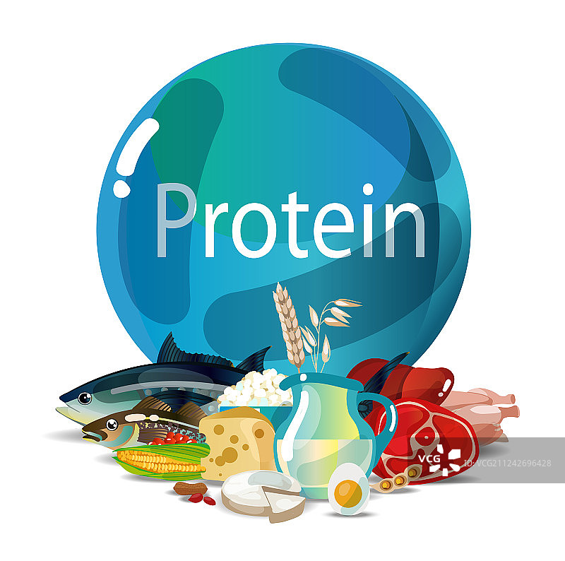 蛋白质营养图片素材