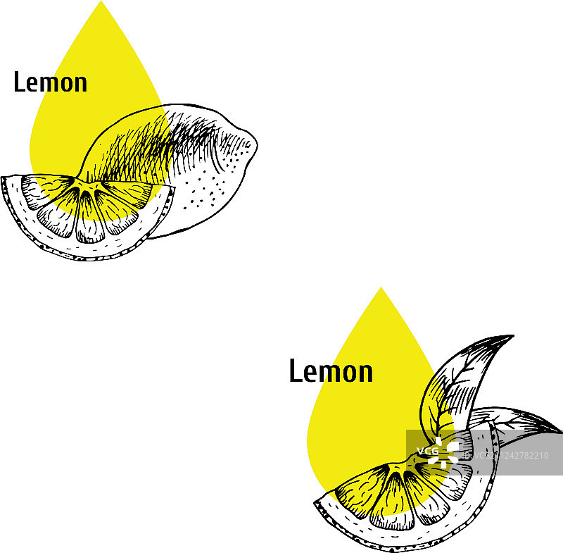 柠檬皮油图标设置手绘草图图片素材