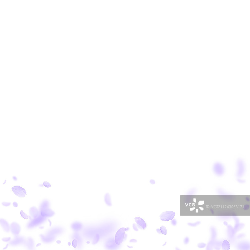 紫罗兰花瓣飘落，有趣浪漫图片素材