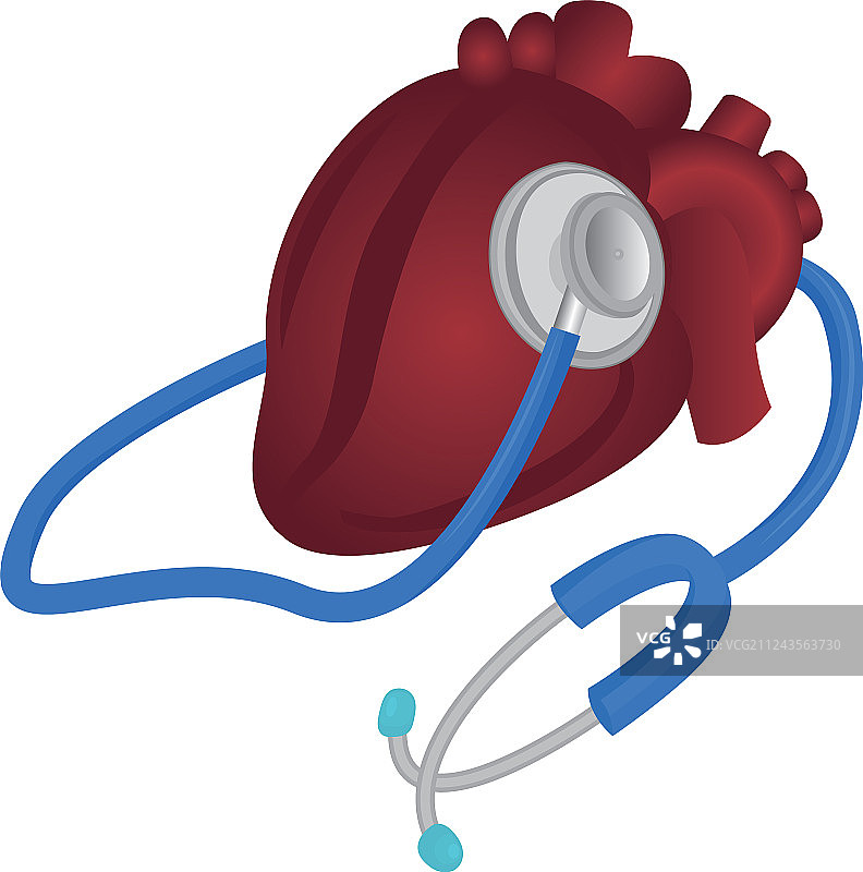 心脏和听诊器心血管图片素材
