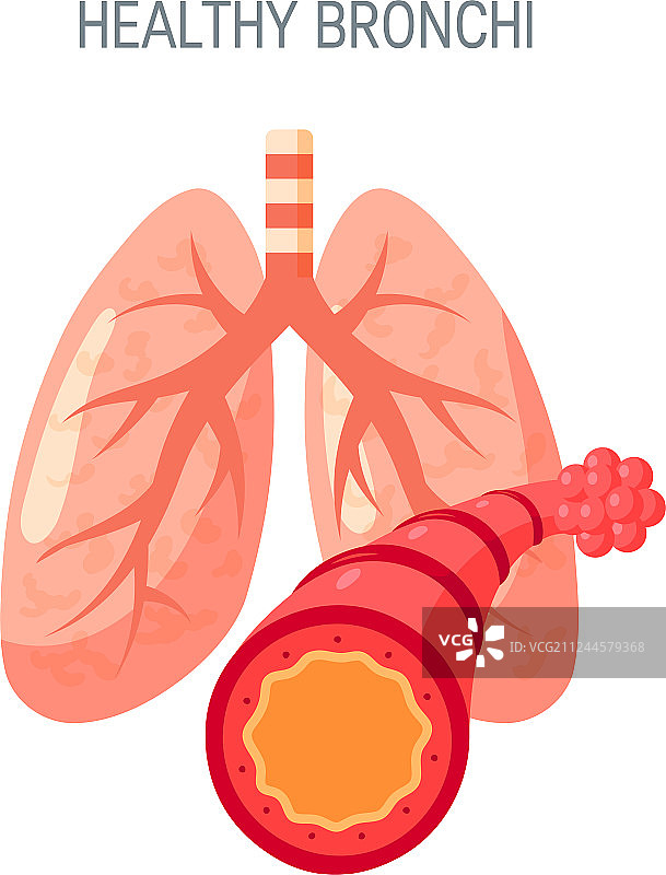 健康的肺图标在平坦的风格图片素材