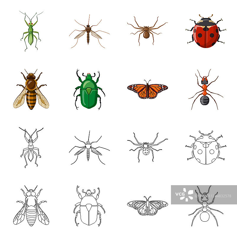 孤立对象的昆虫和苍蝇标志收集图片素材