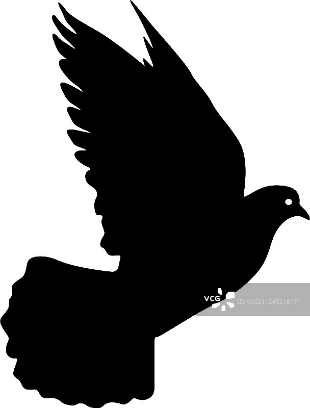 爱或和平的概念轮廓鸽子图片素材