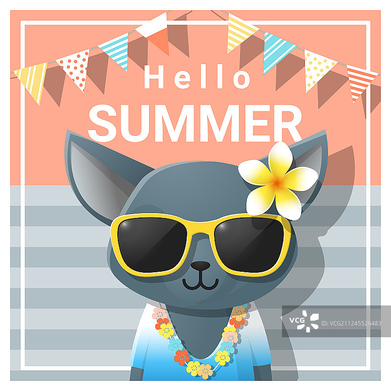 Hello夏季背景与猫图片素材