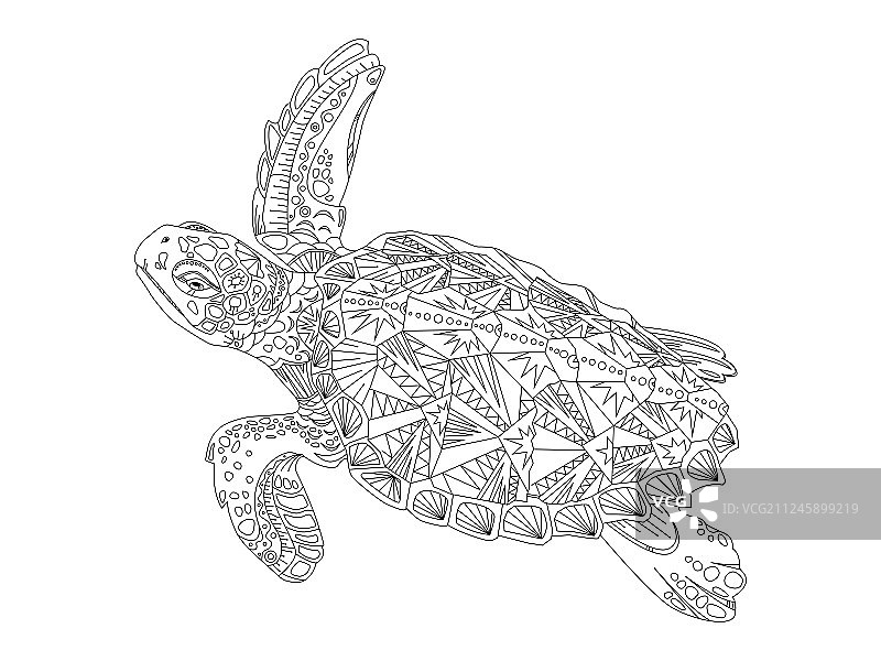 成人海龟涂色书图片素材