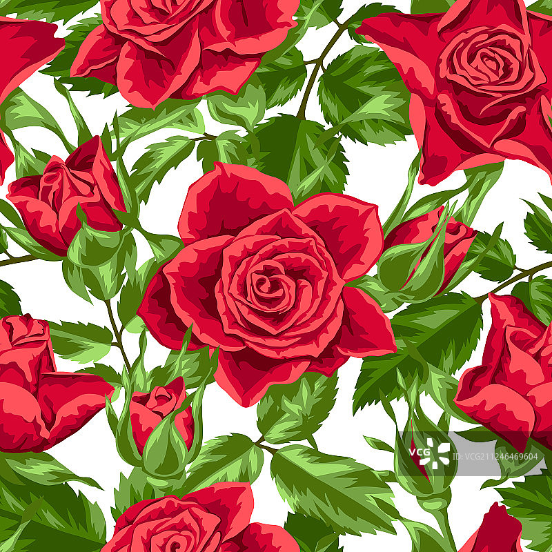 无缝图案的红玫瑰美丽图片素材