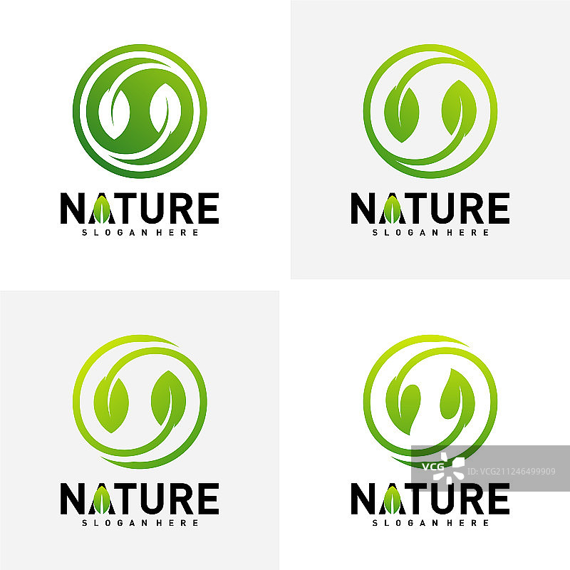 套自然绿叶标志设计理念图片素材