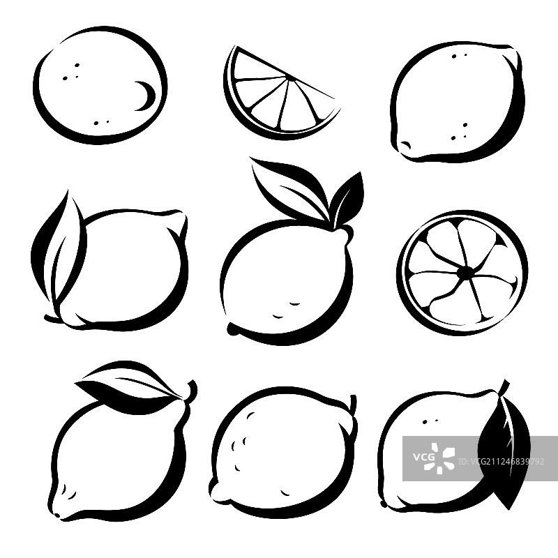 一套柠檬和酸橙符号在素描风格图片素材