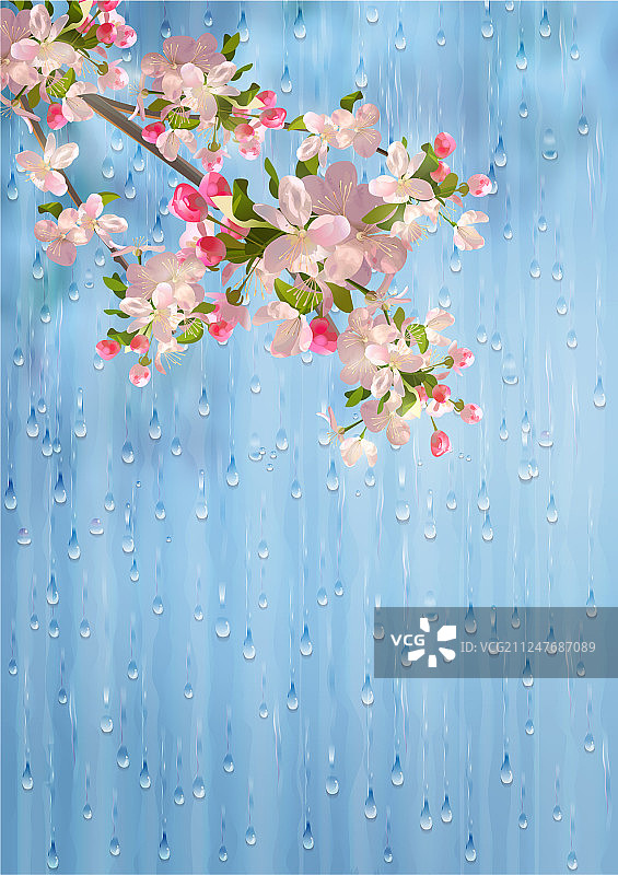 春花雨图片素材
