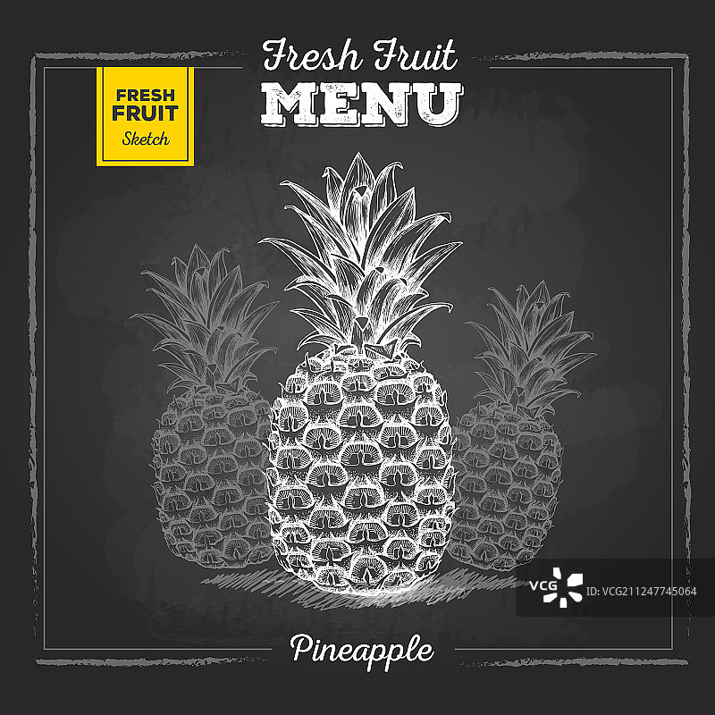 热带水果菠萝写实粉笔画图片素材