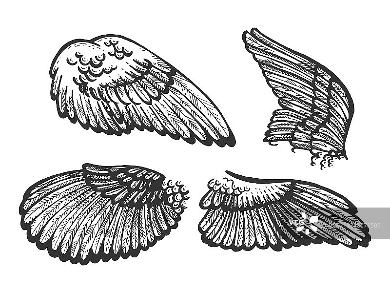 鸟的天使翅膀设置素描雕刻图片素材