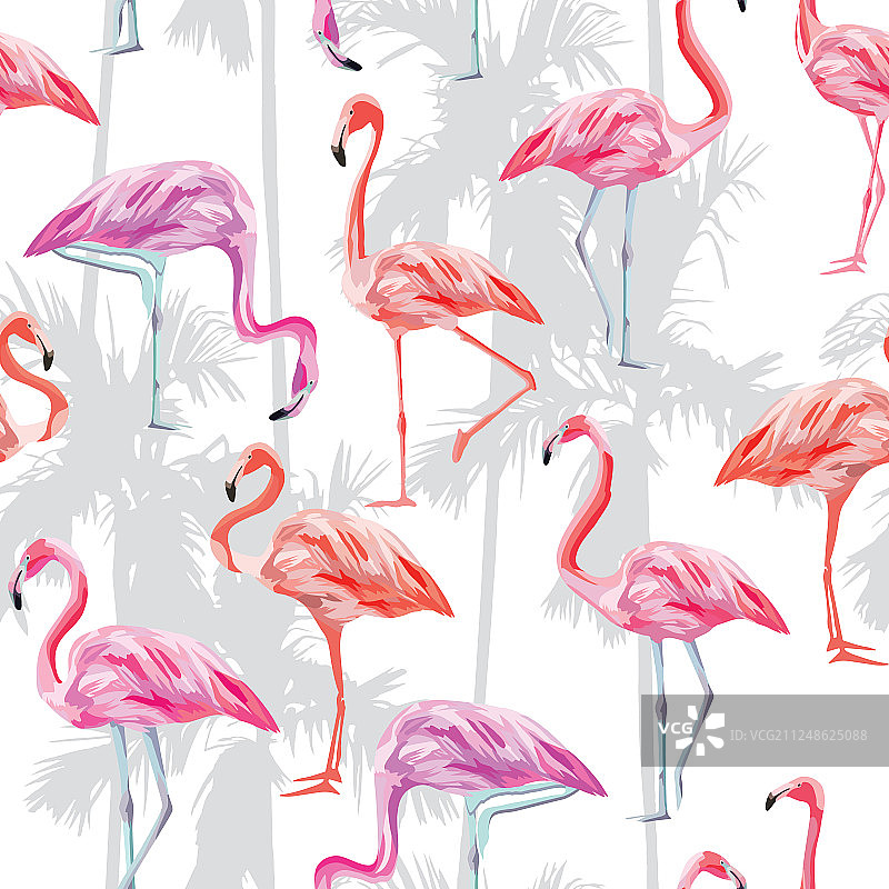 粉红色火烈鸟无缝图案白色背景图片素材