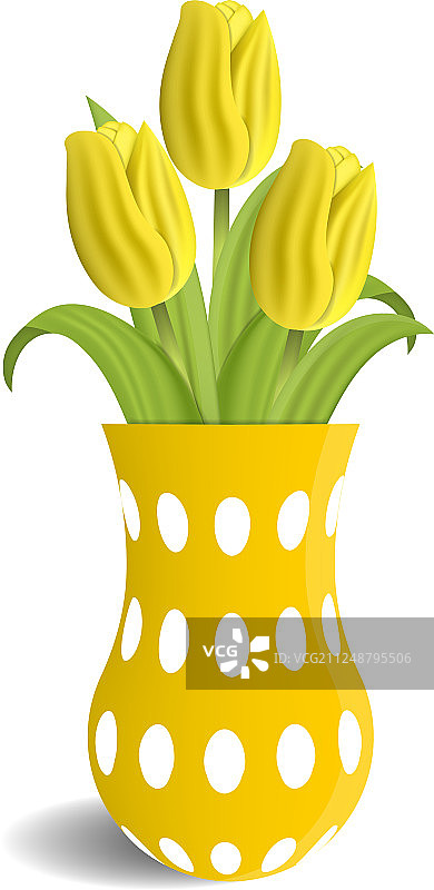 现实的黄色郁金香花瓶孤立在白色图片素材