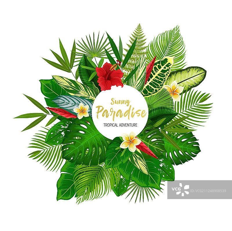 热带棕榈叶和夏季的花朵图片素材