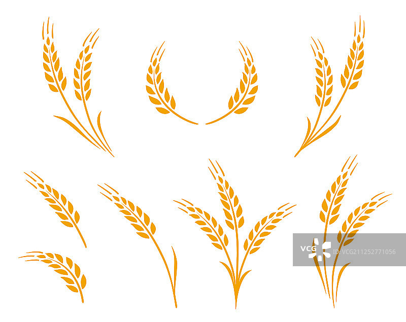 黄金自然麦穗图标标志集图片素材