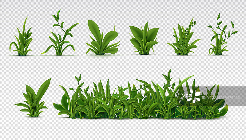 逼真的绿草3d新鲜的春天植物图片素材