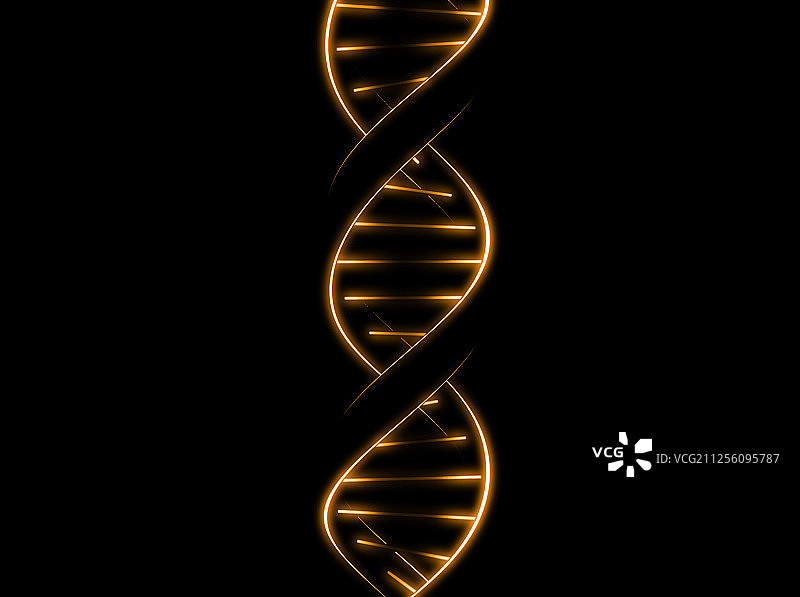 DNA图片素材