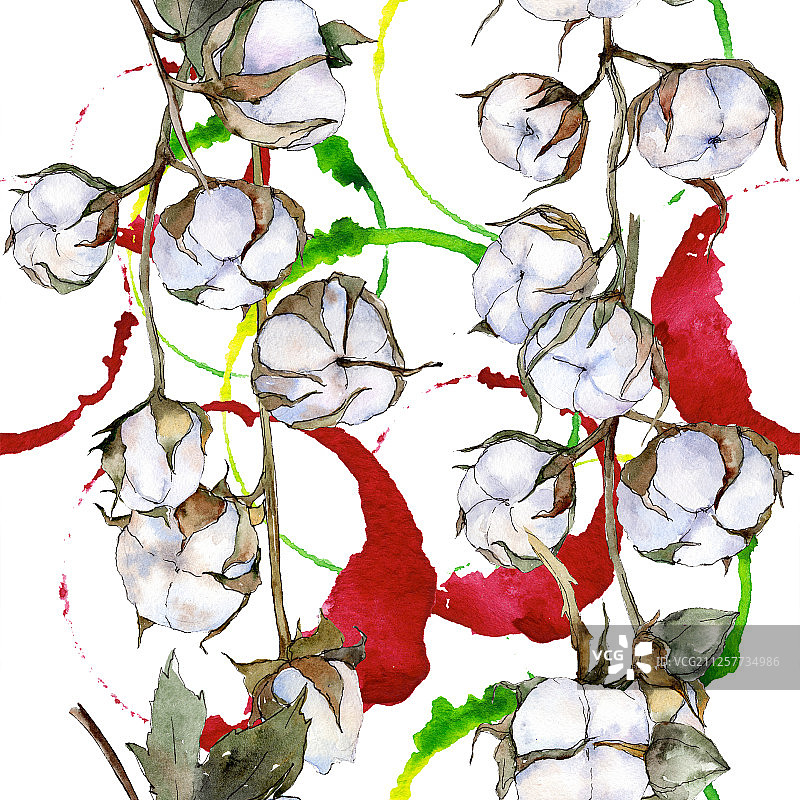 白色的棉花植物花。水彩背景插图集。无缝的背景图案。图片素材