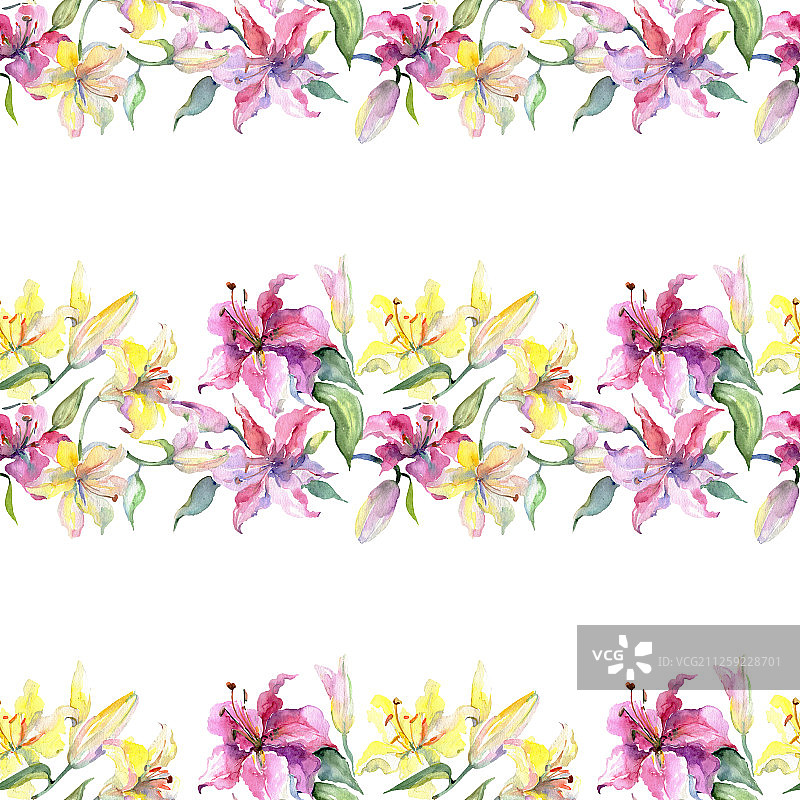 黄色和紫色的百合属植物的花。水彩背景插图集。无缝的背景图案。图片素材