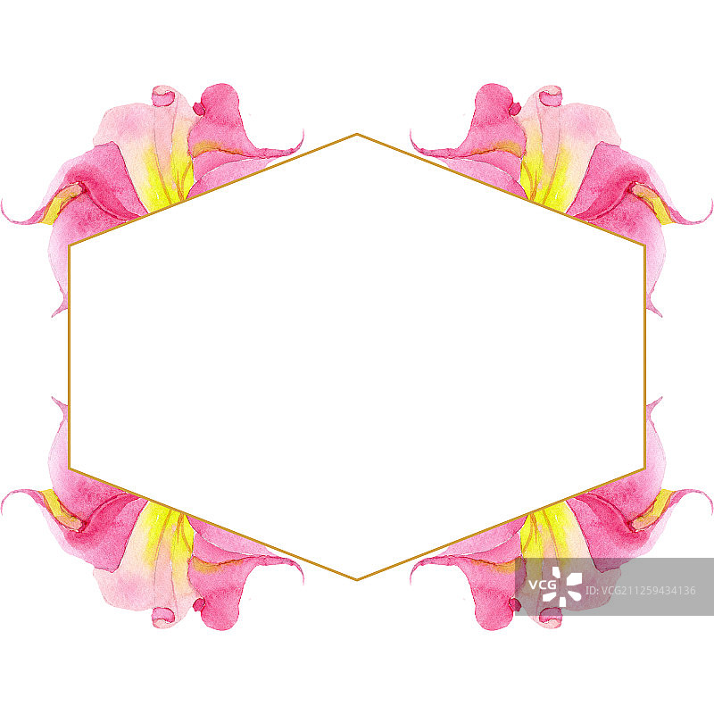 粉红色的蔷薇属植物花。水彩背景插图集。边框装饰方形。图片素材